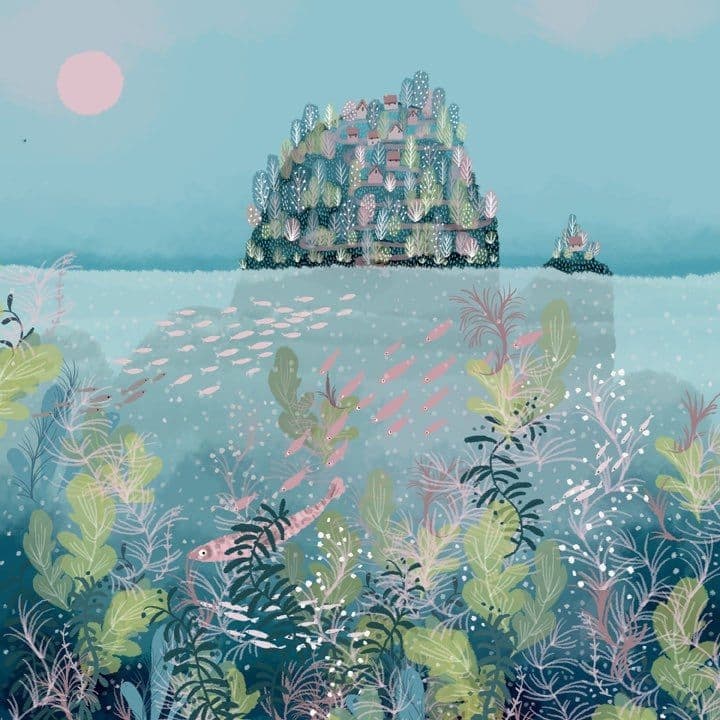 Jane Newland