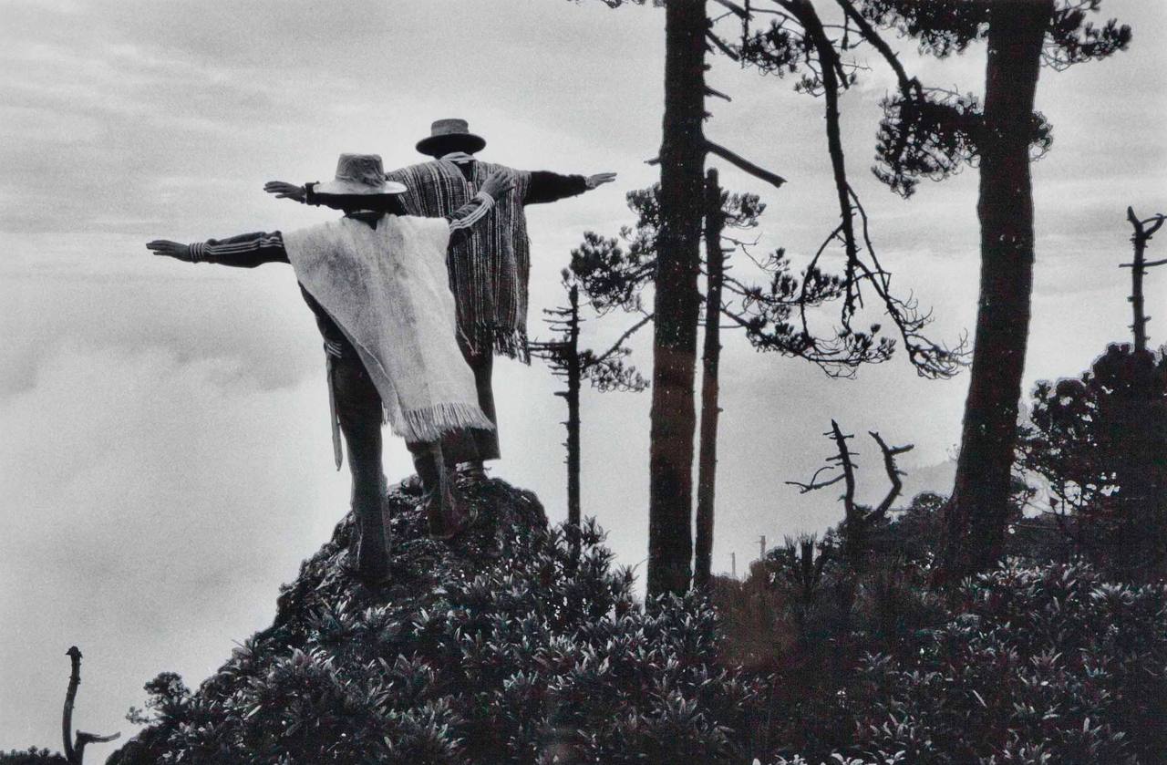 Photo by Sebastião Salgado

 photography