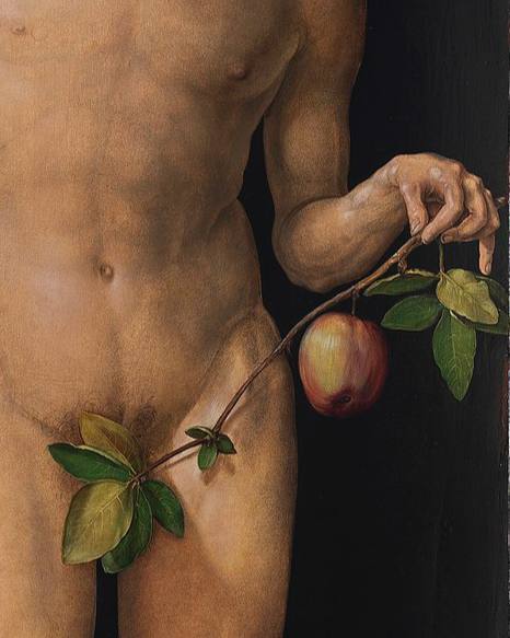 Albrecht Dürer

«Adam and Eve» (detail)
1507