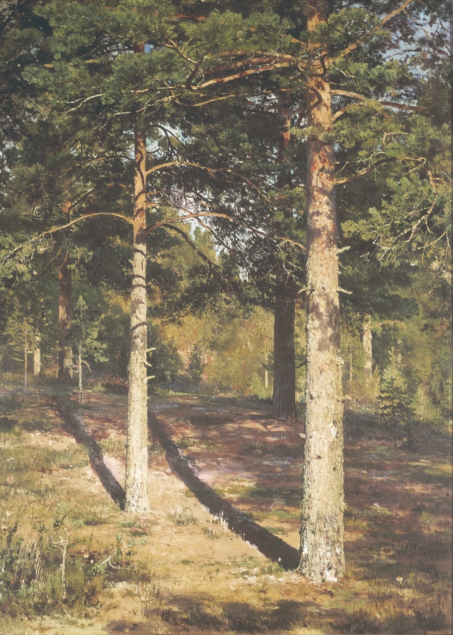 Ivan Shishkin
