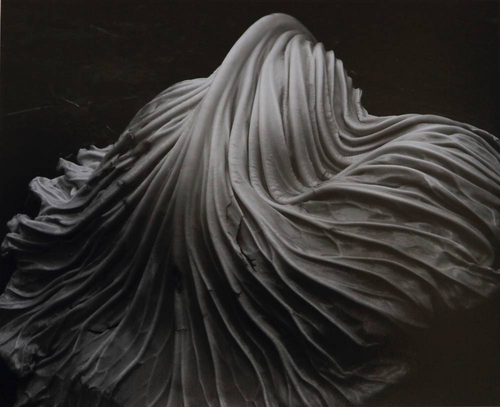 Photos by Edward Weston

 photography