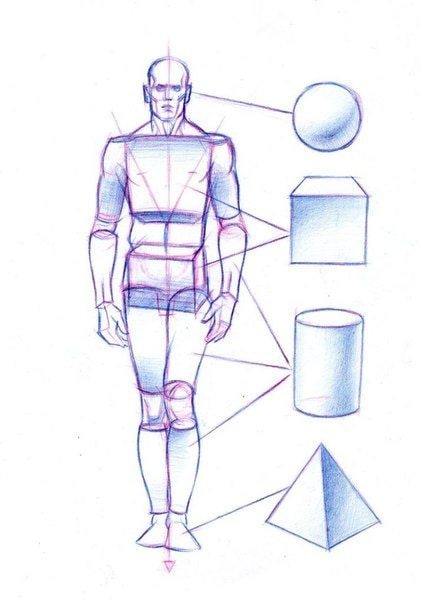 Конструктивный рисунок фигуры человека.

Различные позы.

 практика
