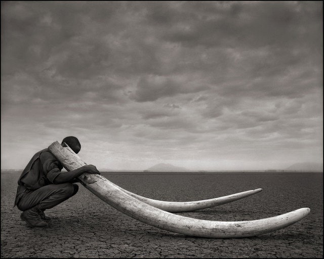 Nick Brandt
